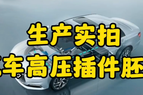 生產(chǎn)實(shí)拍~汽車(chē)高壓插件胚體