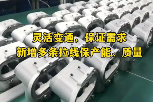 靈活變通，保證需求-新增多條拉線，保產(chǎn)能、保質(zhì)量